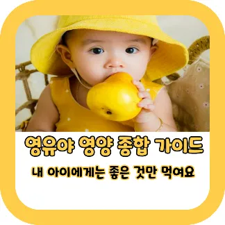 유아 영양 종합가이드