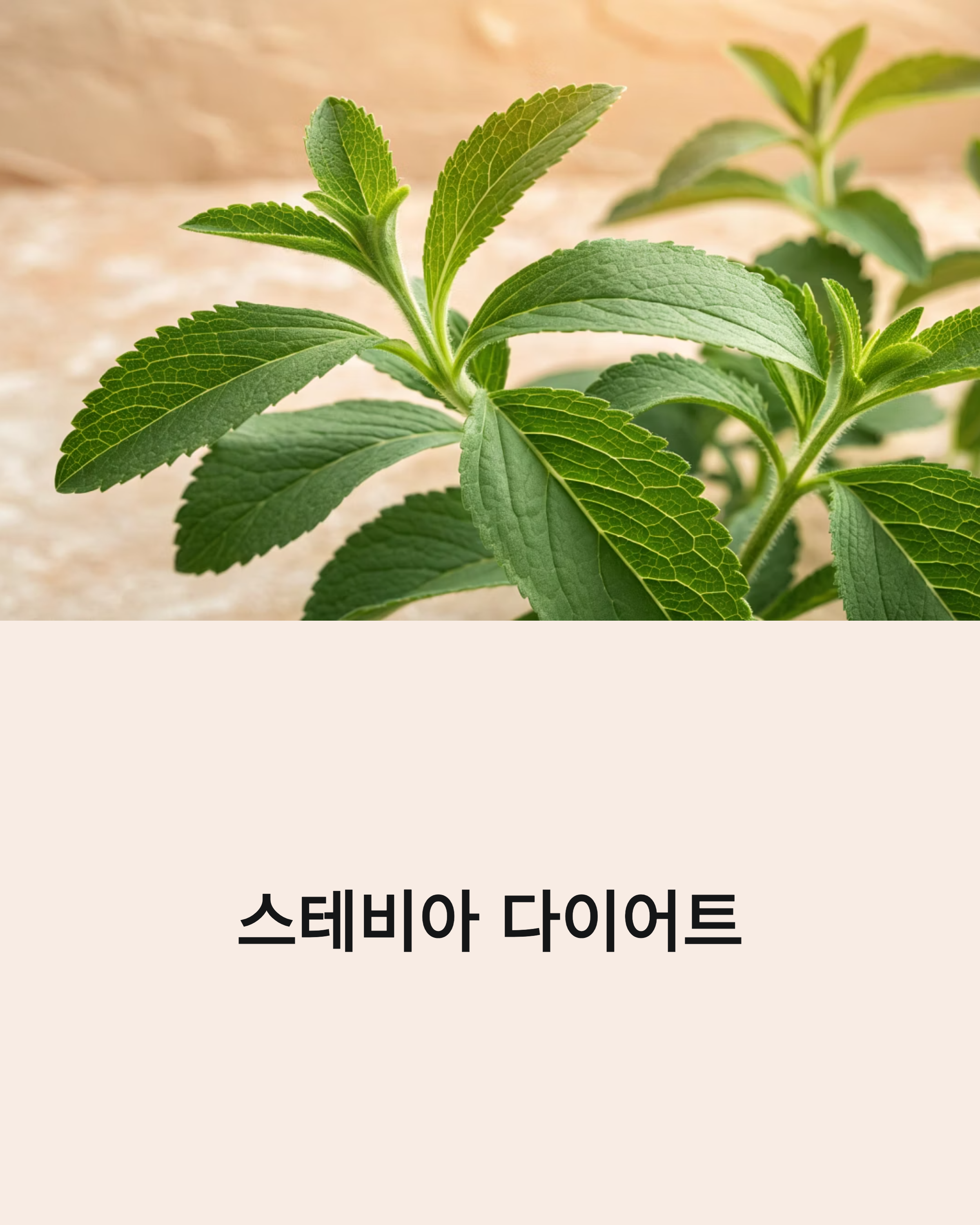 스테비아 다이어트