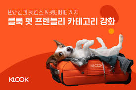 반려동물과 함께 떠나는 여행 가이드|펫프렌들리 숙소, 할인 혜택 관련사진