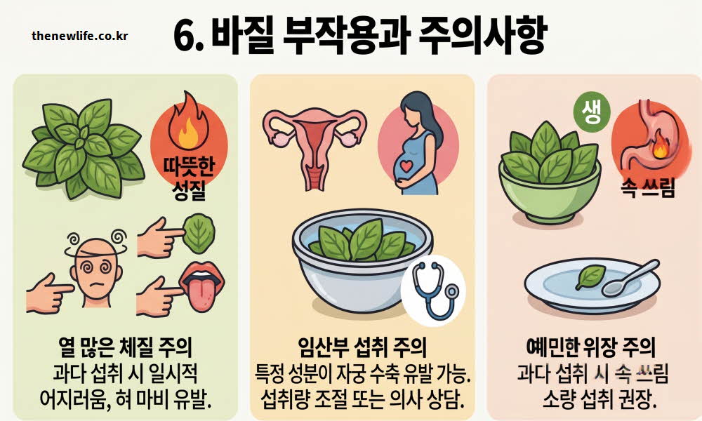 바질 효능 부작용
