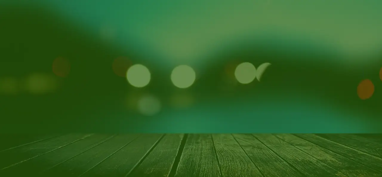 단기 시범사업이 구조 개편으로 확장되지 못한 배경