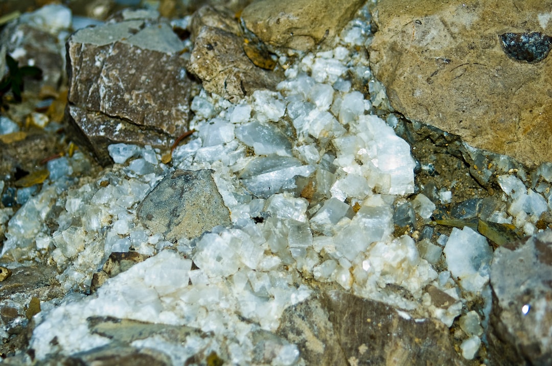 Salinity