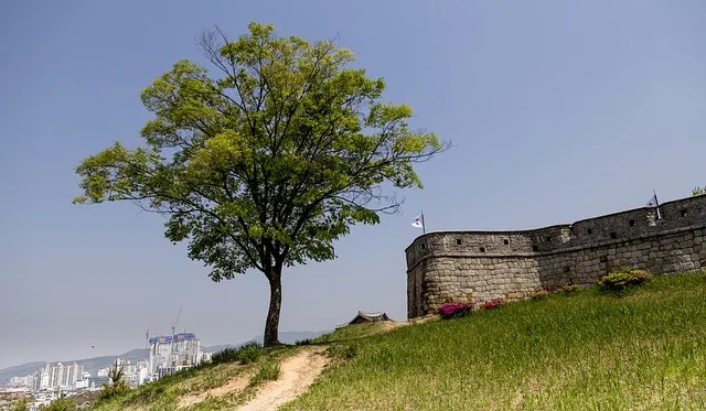 2025 수원 야행 화성행궁에서 8야 행사 상세 정보와 예약 방법_5