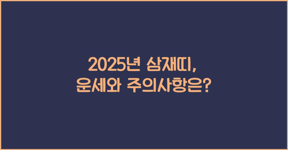 2025년 삼재띠