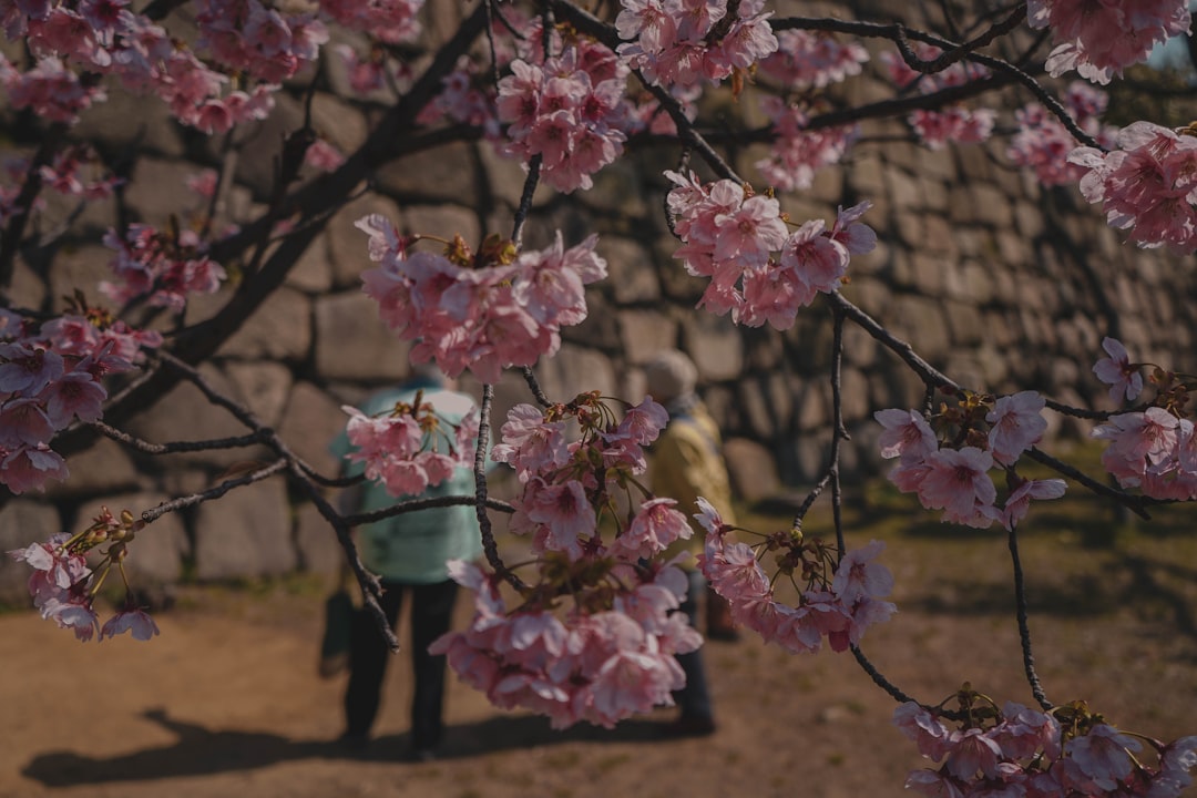 Osaka Castle