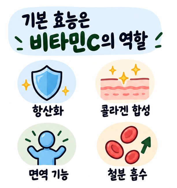항산화와 콜라겐 합성, 면역 기능, 철분 흡수 등 비타민C의 기본 역할을 보여주는 카드