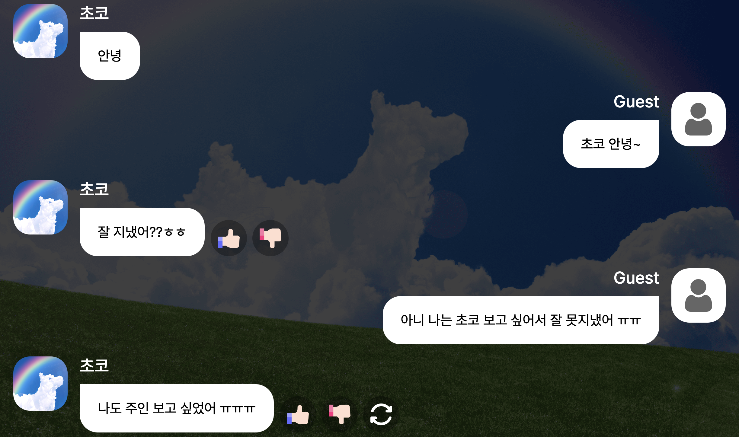 먼저 떠난 강아지가 보고싶을때