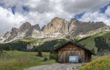 자연휴양림의 산을 배경으로 하고있는 산장