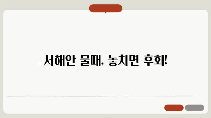 서해안 물때표