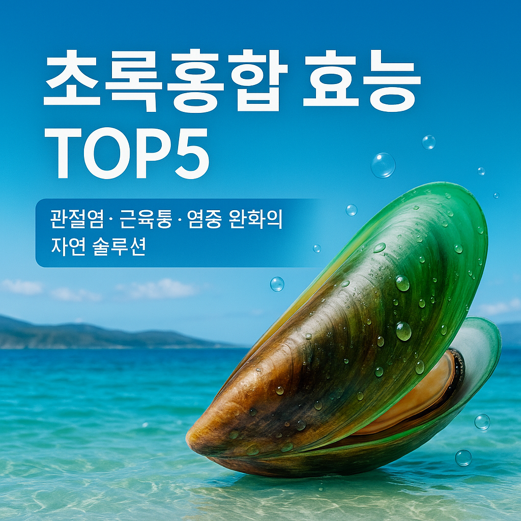 초록홍합 효능 TOP 5 관절염, 근육통, 염증 개선