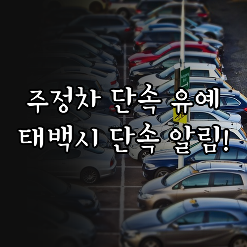 태백시 주정차 단속 유예 시간 및 알..