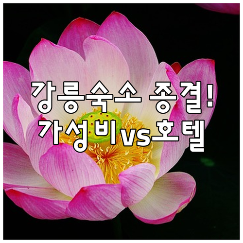 강릉 숙소 추천 가성비 게스트하우스부..