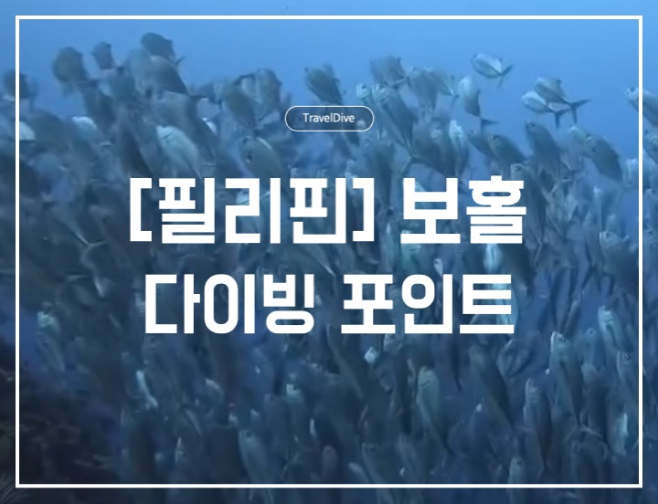 [필리핀] 보홀 다이빙 포인트 ①