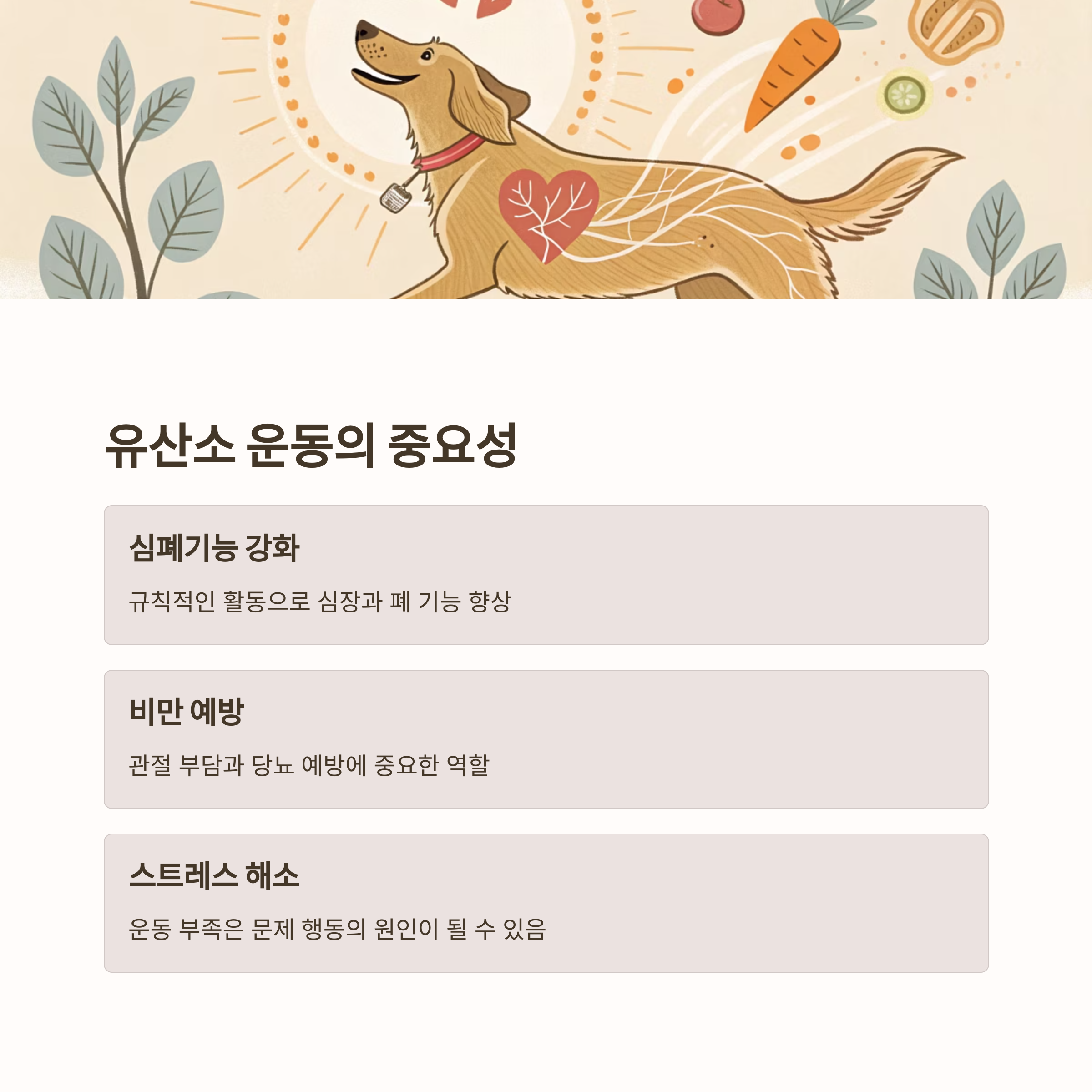 유산소 운동의 중요성