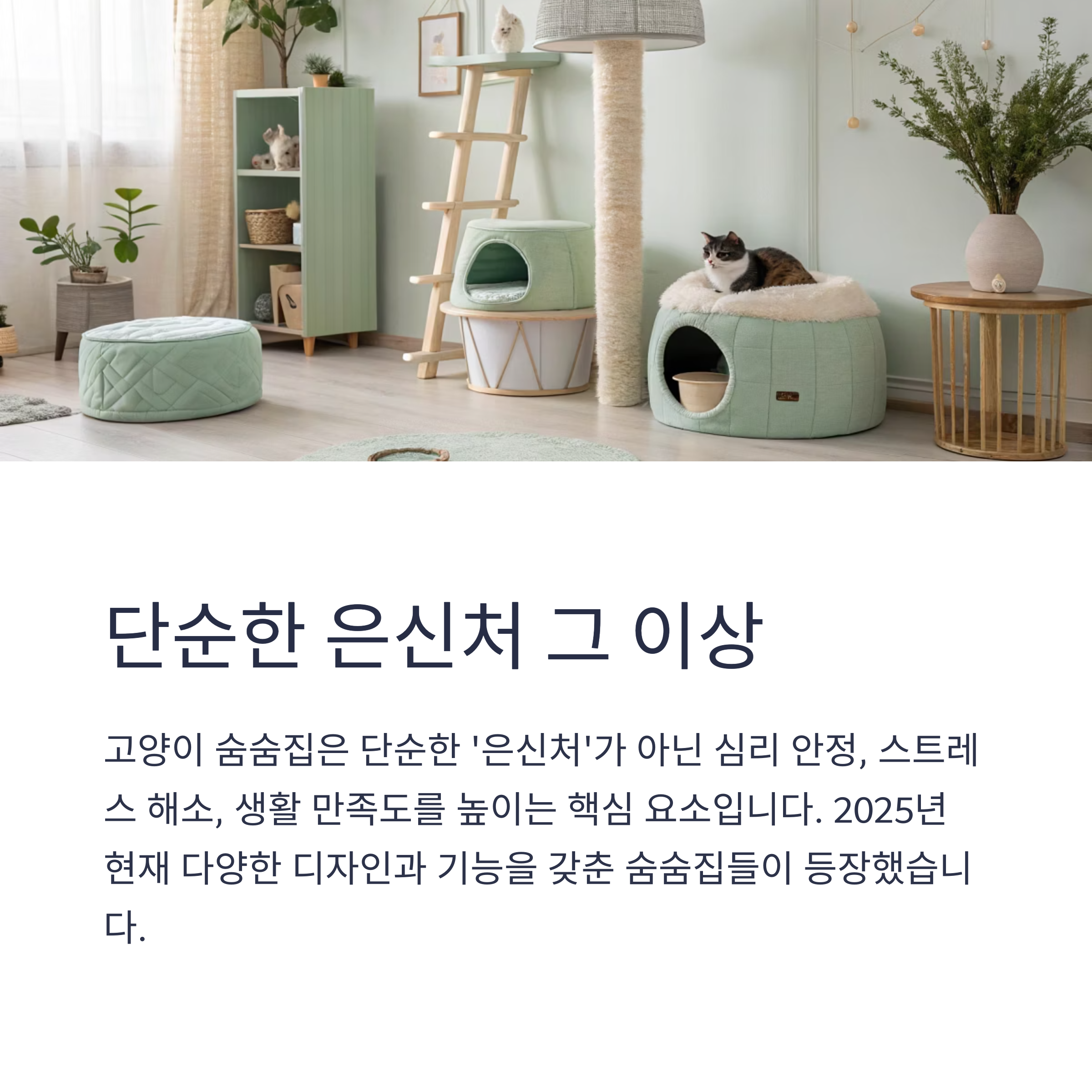 단순한 은신처 그 이상