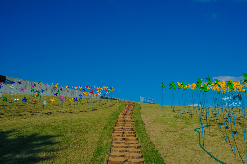 임진각 평화누리 공원 바람의 언덕