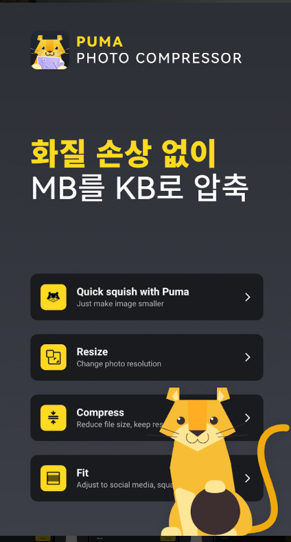 사진 용량 줄이기, 사진 압축 크기 조절, 여권사진 규격 맞추기, 사진 편집 앱