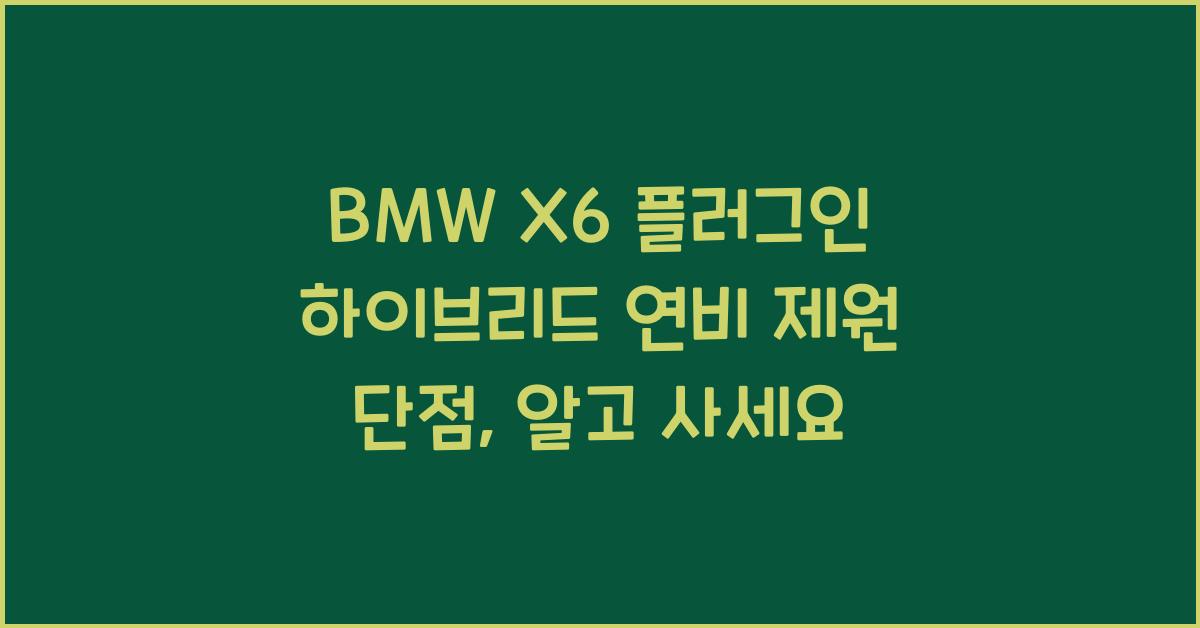 BMW X6 플러그인 하이브리드 연비 제원 단점