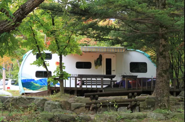 우수 공공야영장 20곳 소개 가족 반려동물 교통약자 친환경 자동차 캠핑장 문체부 한국관광공사 선정