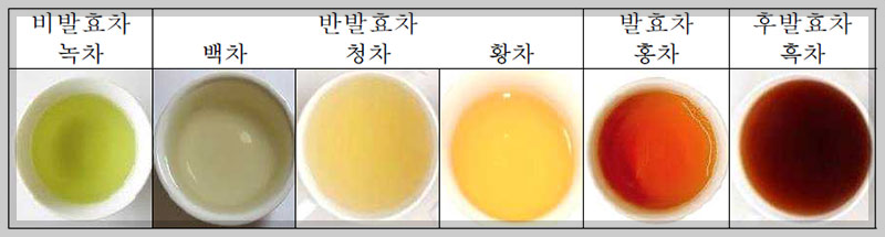 찻잎의 발효
