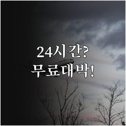 아메리칸항공 좌석 변경 24시간 무료..