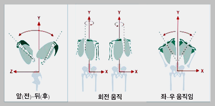 체간의-움직임