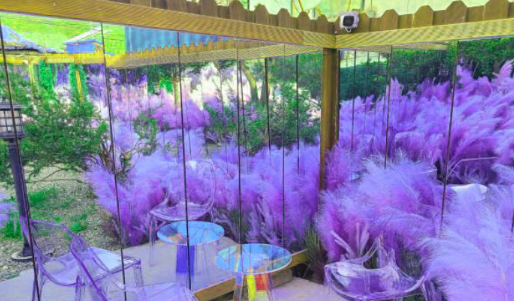 경기도 필더쿠키 카페