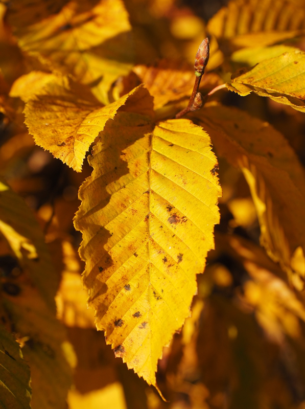 2024 추석연휴 우체국 택배 마감 일정