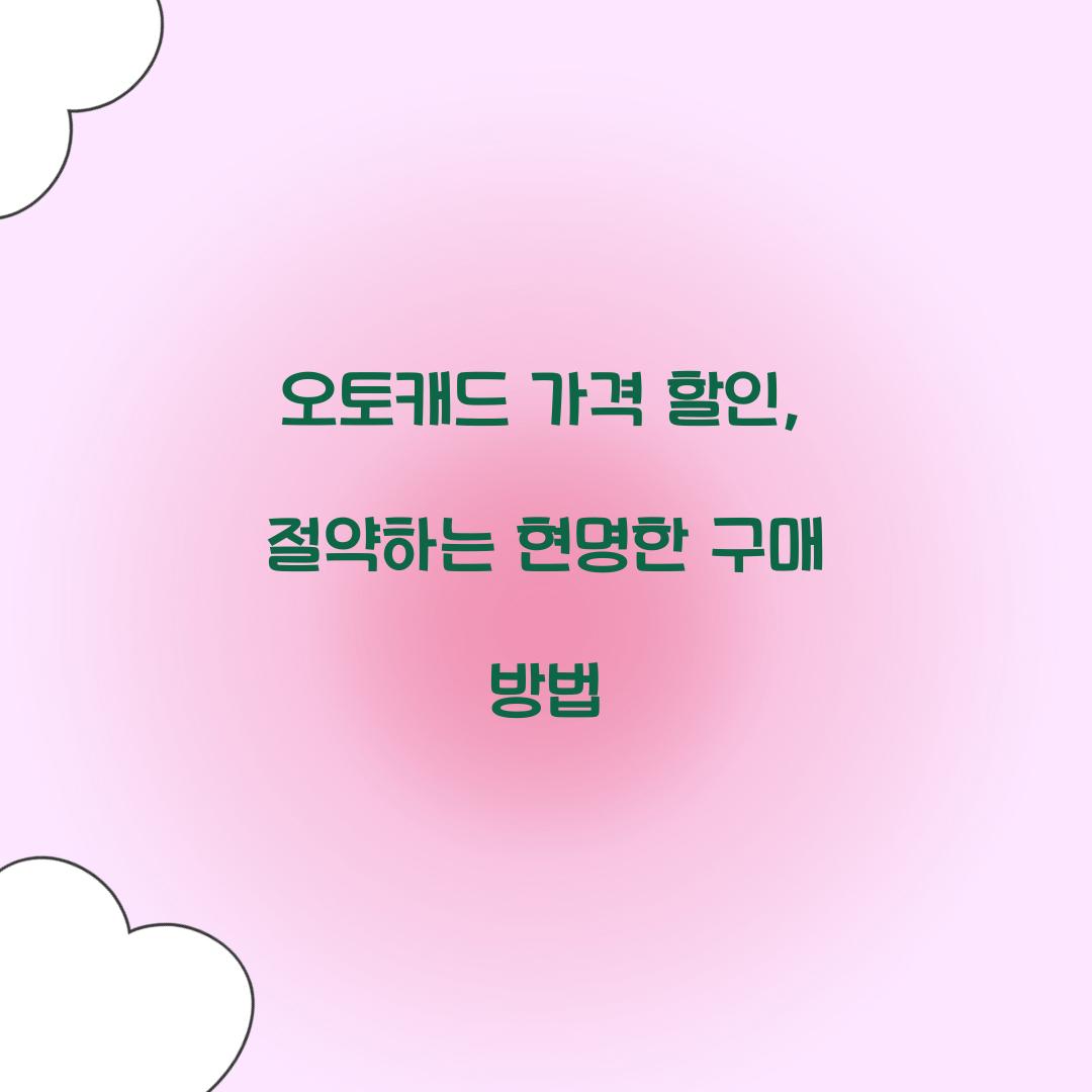 오토캐드 가격 할인