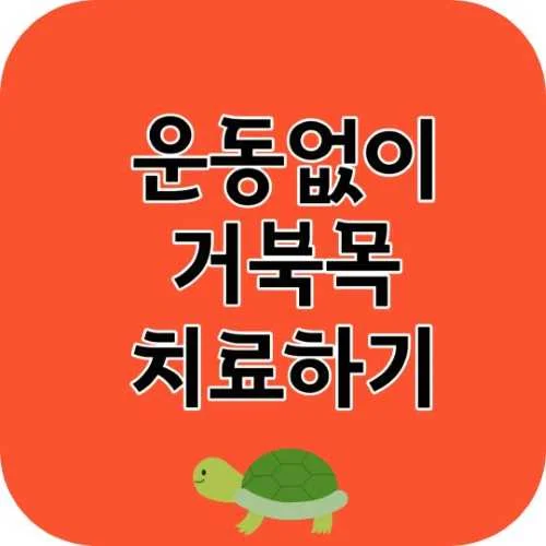 거북목 교정기를 이용한 거북목 치료하는 방법에 대해 알아보기