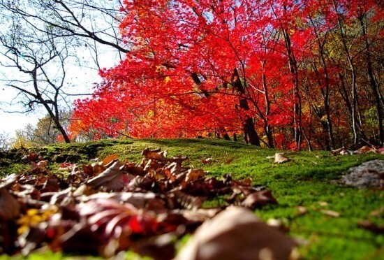 방태산 아침가리 숲길