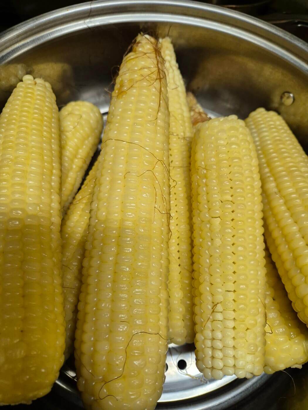 옥수수 삶는 법 시간 뉴슈가 및 보관방법 