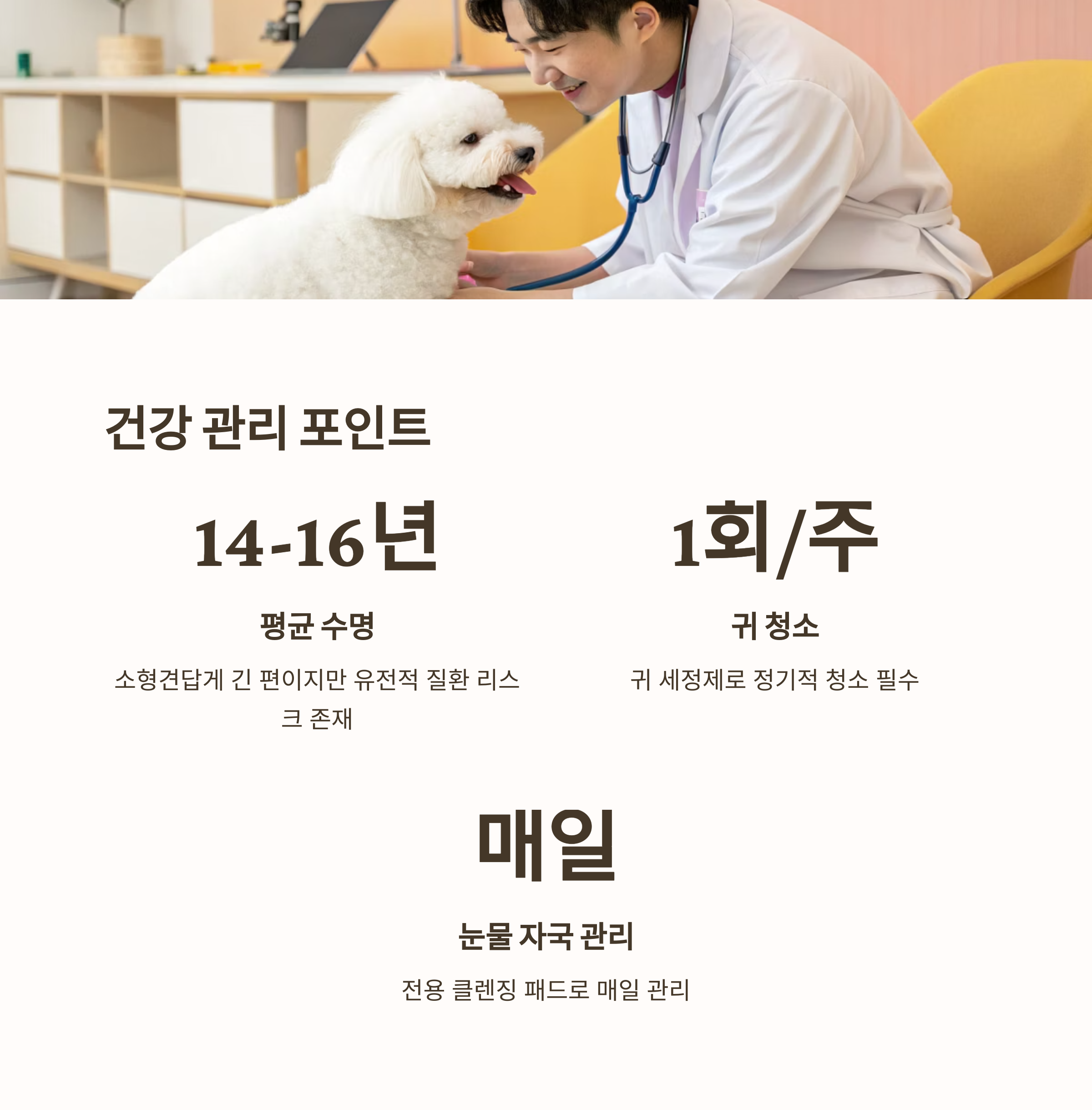 건강 관리 포인트