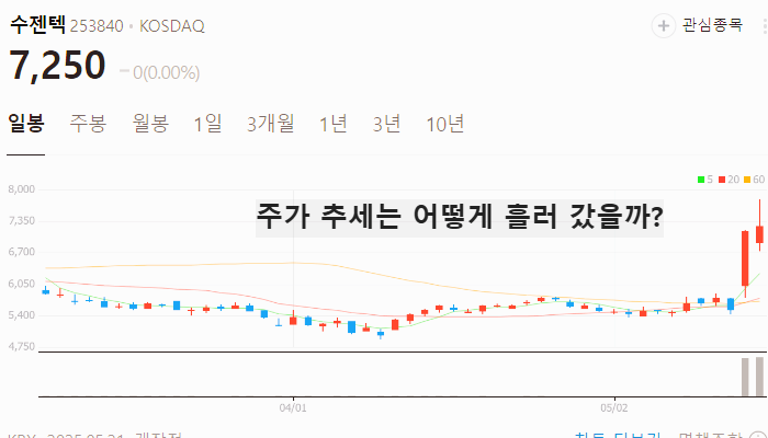 코로나 관련주 대장주 진단키트 테마주 TOP5