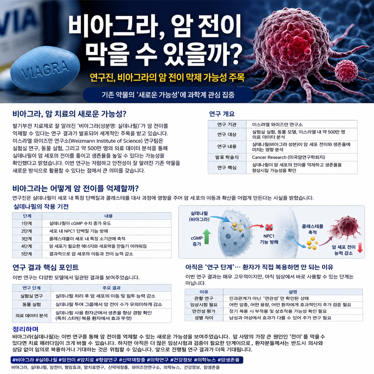 비아그라가 암 전이를 막을 수 있을까?