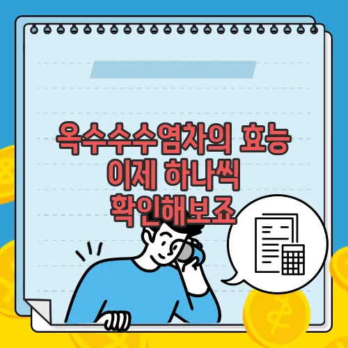 옥수수수염차의 효능 이제 하나씩 확인해보죠