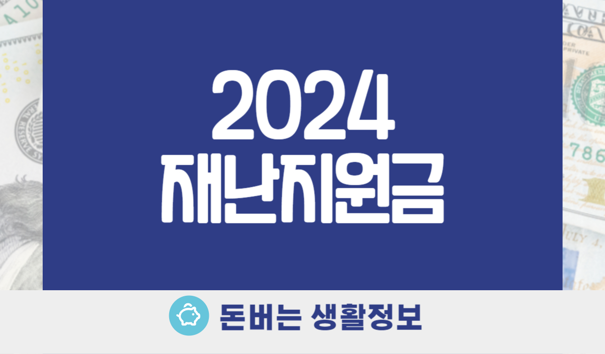 2024재난지원금