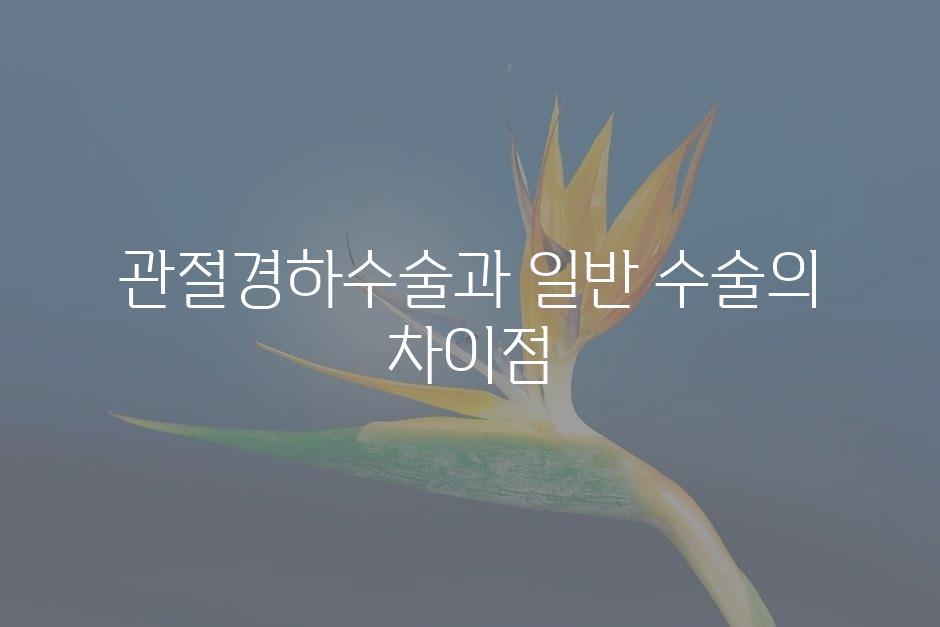 샘플 (45)