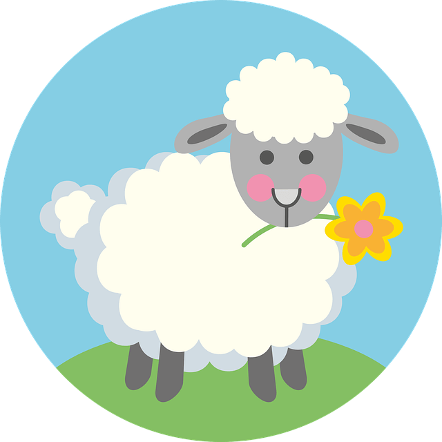 오늘의 운세_양띠