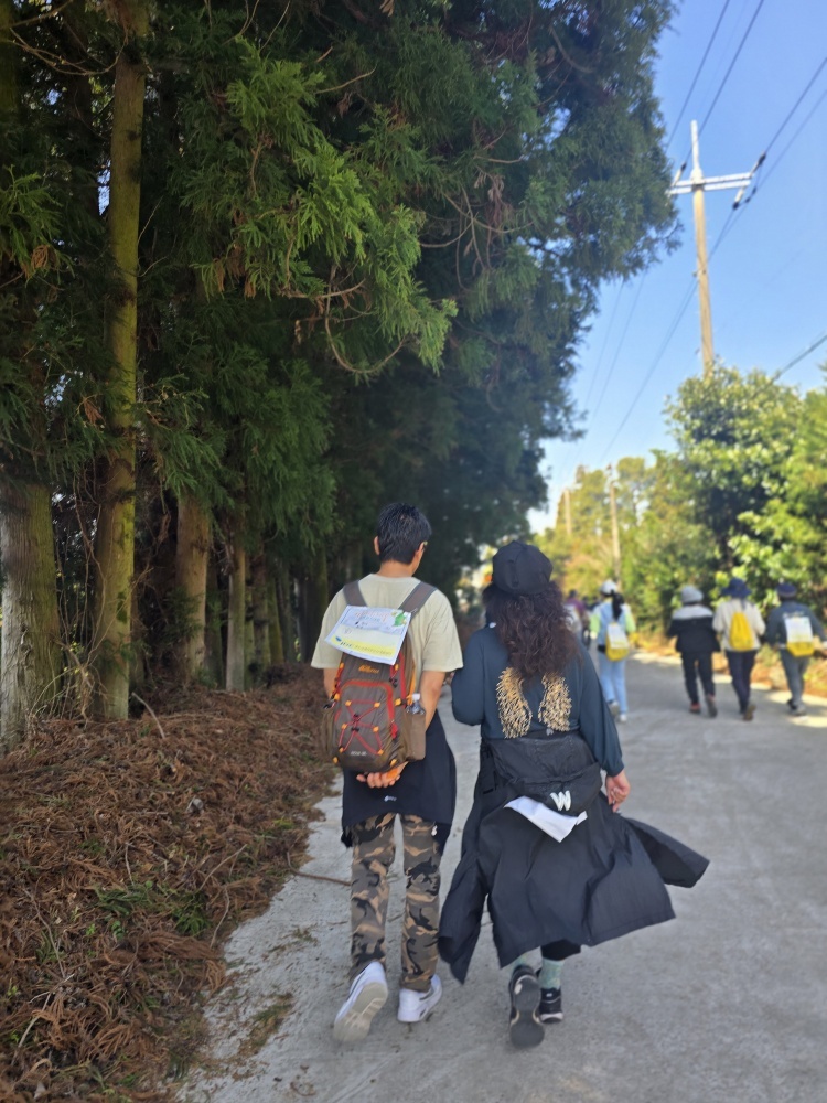 제주 유채꽃걷기대회