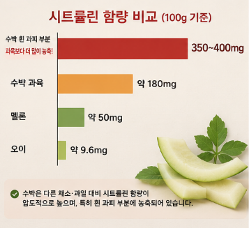 백수과피분말-효능-뜻-용법-만드는법-가격