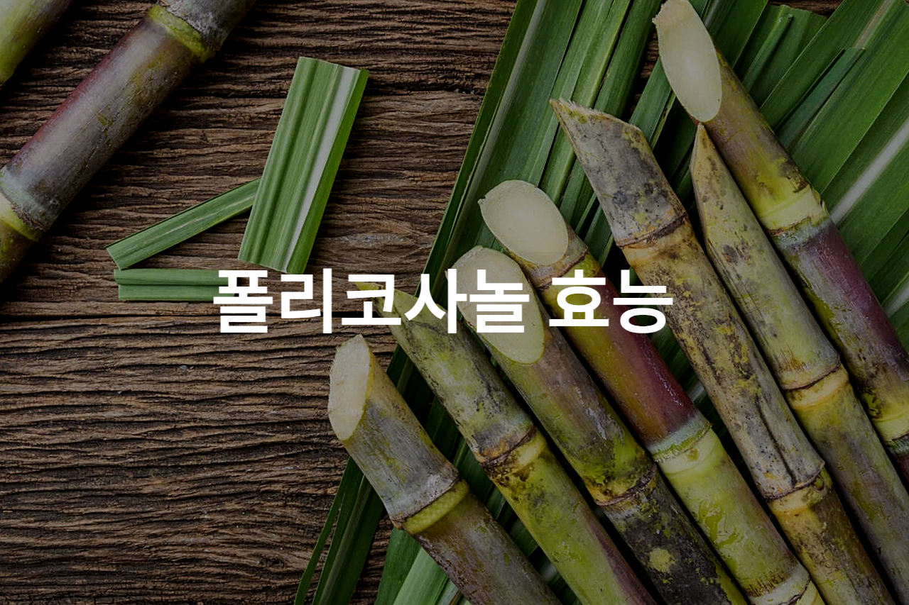 폴리코사놀 효능