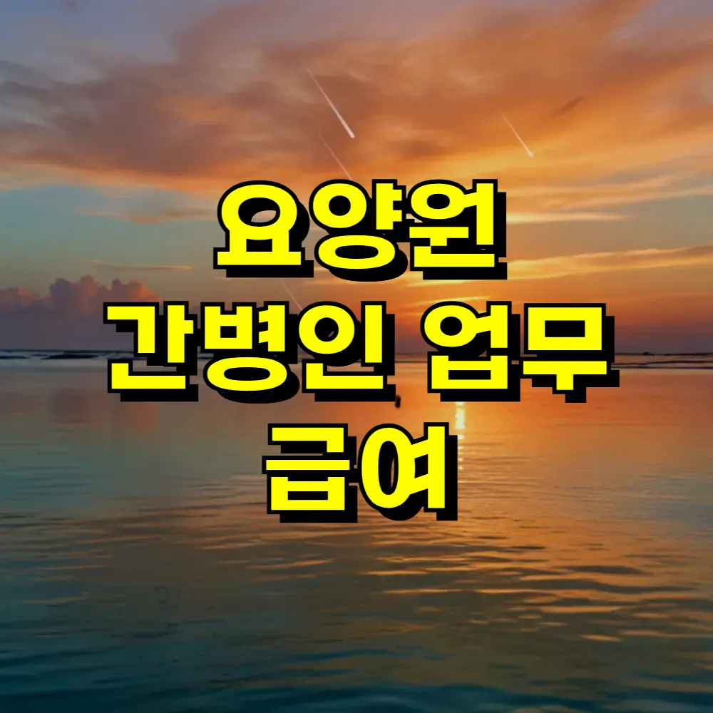 요양원 간병인 업무 급여