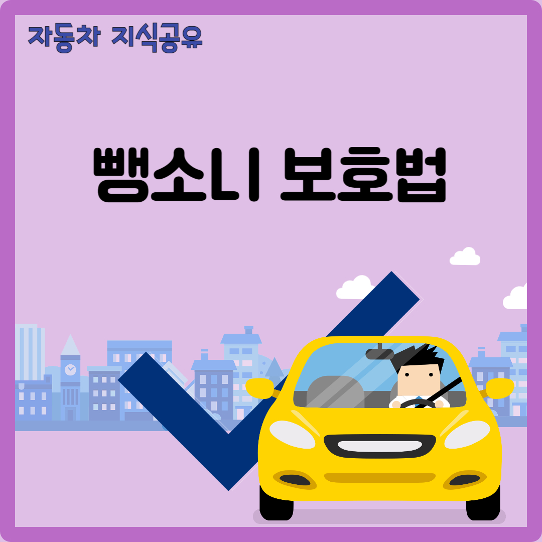 뺑소니 보호법