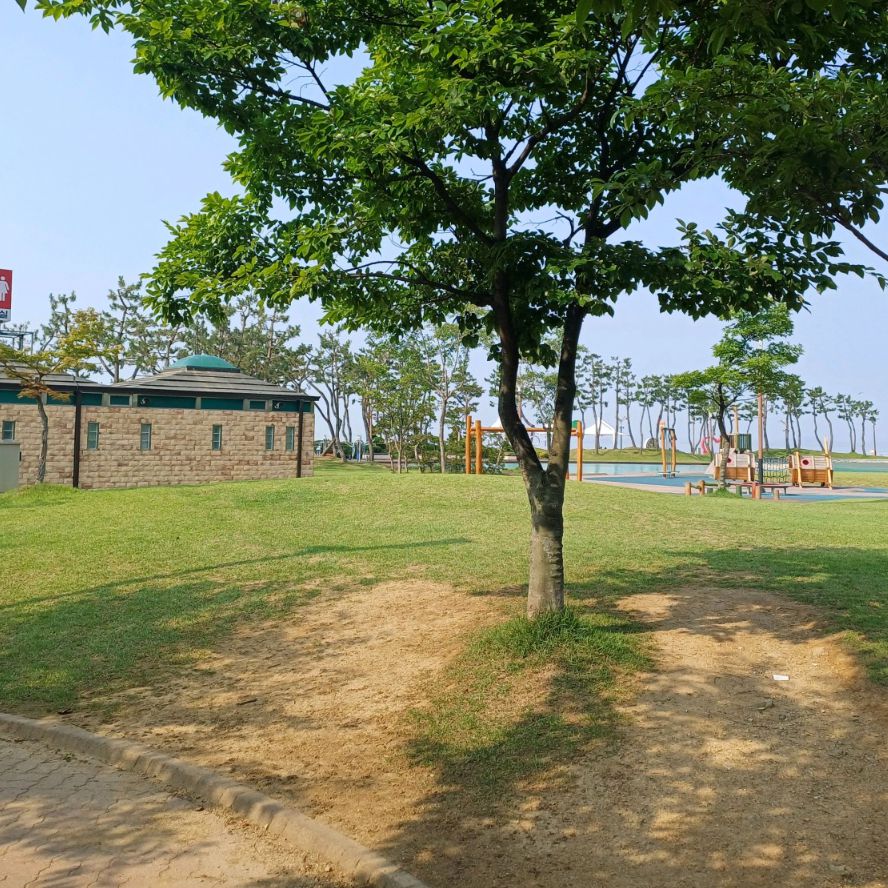 삽교호