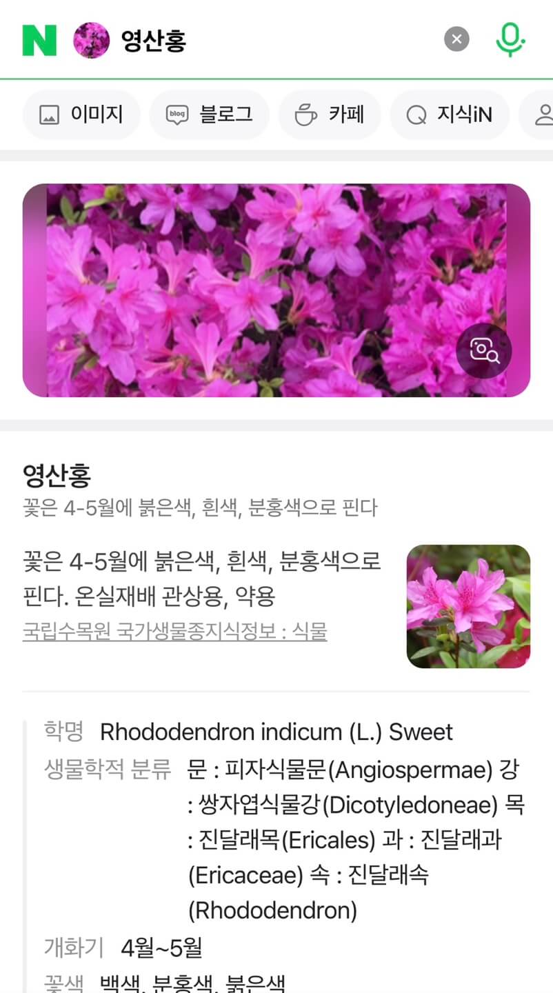 꽃이름 찾기