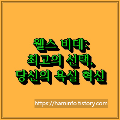 웰스 비데: 최고의 선택, 당신의 욕실 혁신