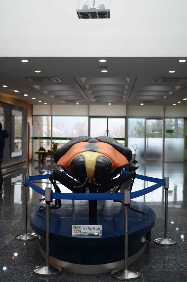 반디랜드