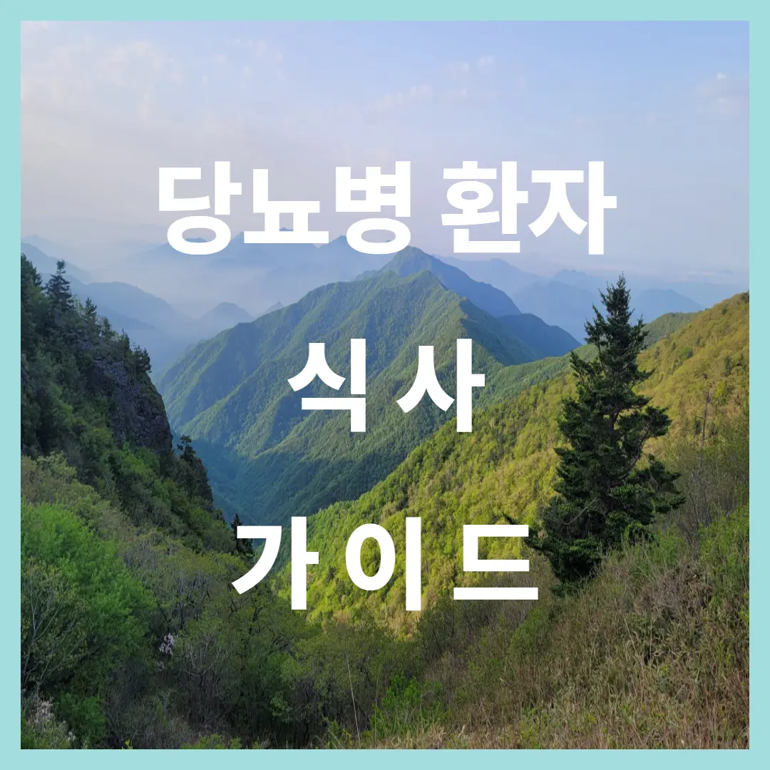 노인 당뇨병 환자의 식사 가이드