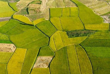 베트남 여행시 주의사항